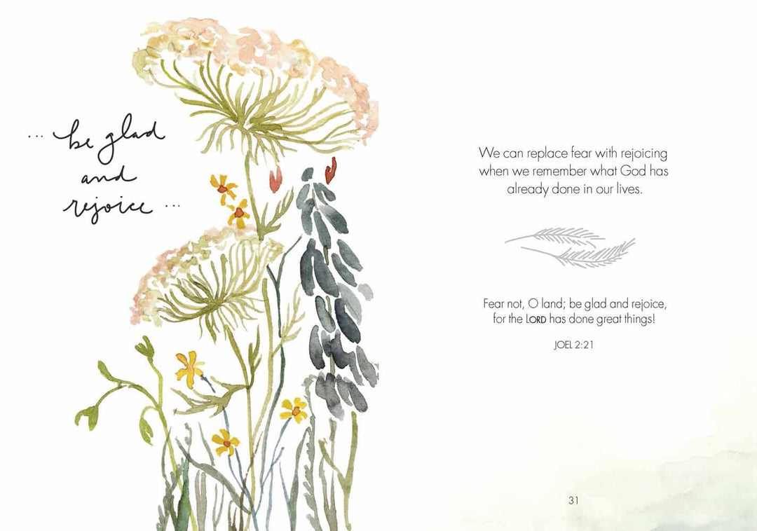 Harvest House Publishers Gift &amp; Specialty Books - Fields of Joy