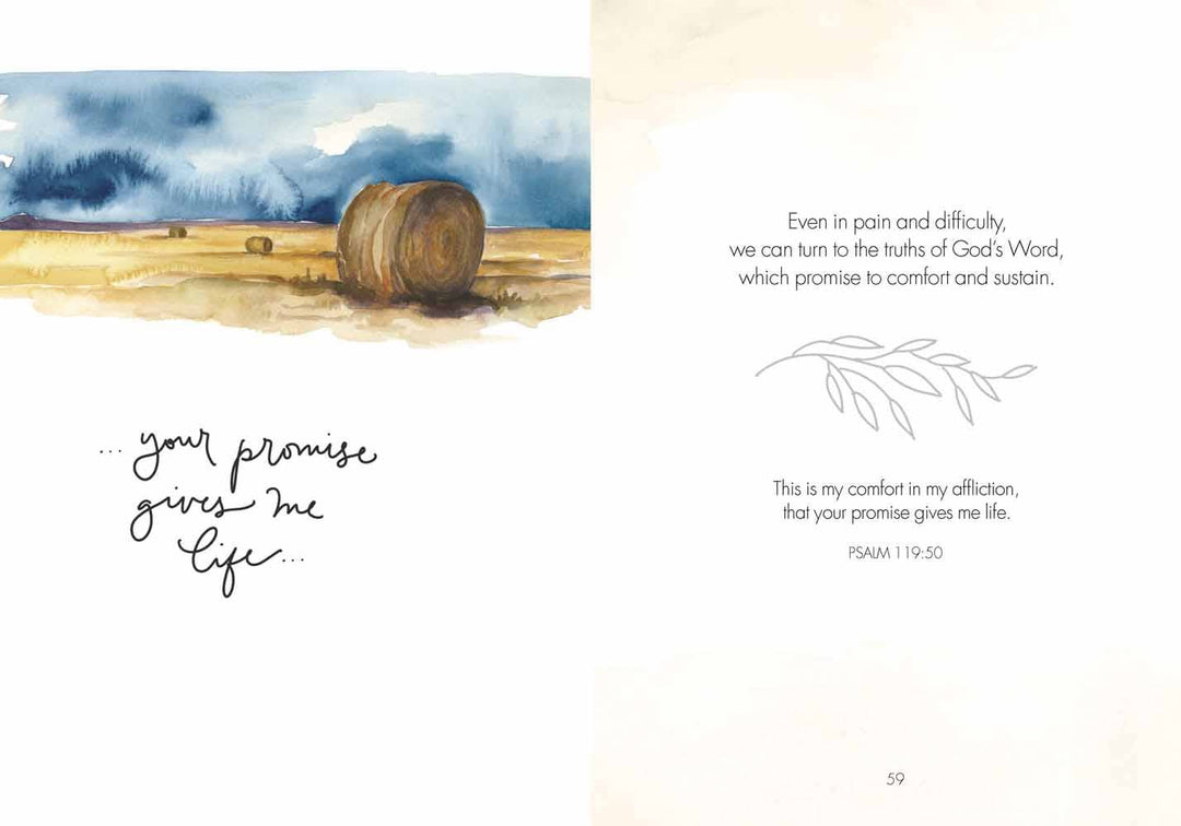 Harvest House Publishers Gift &amp; Specialty Books - Fields of Joy