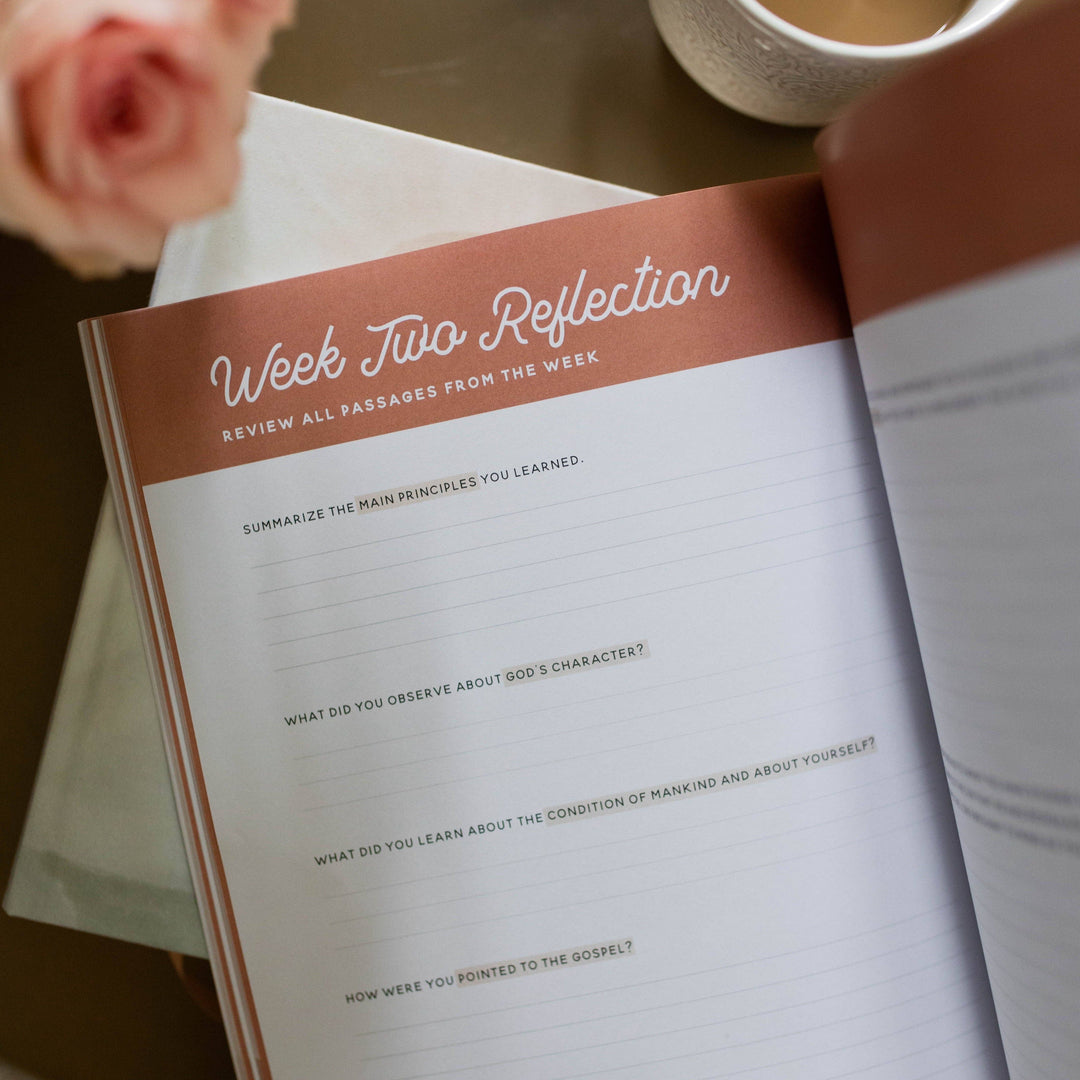 The Daily Grace Co - Growing in Grace Bible Study