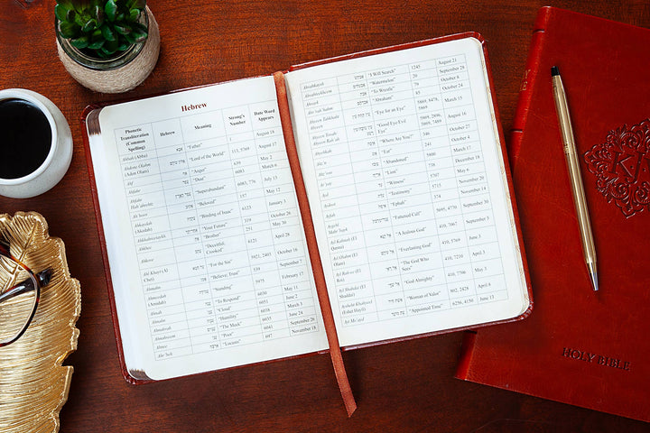 365 Hebrew Words Every Christian Should Know (Devotional)