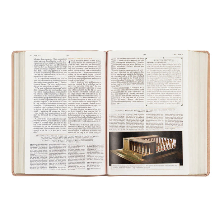 Hosanna Revival - CSB Women&