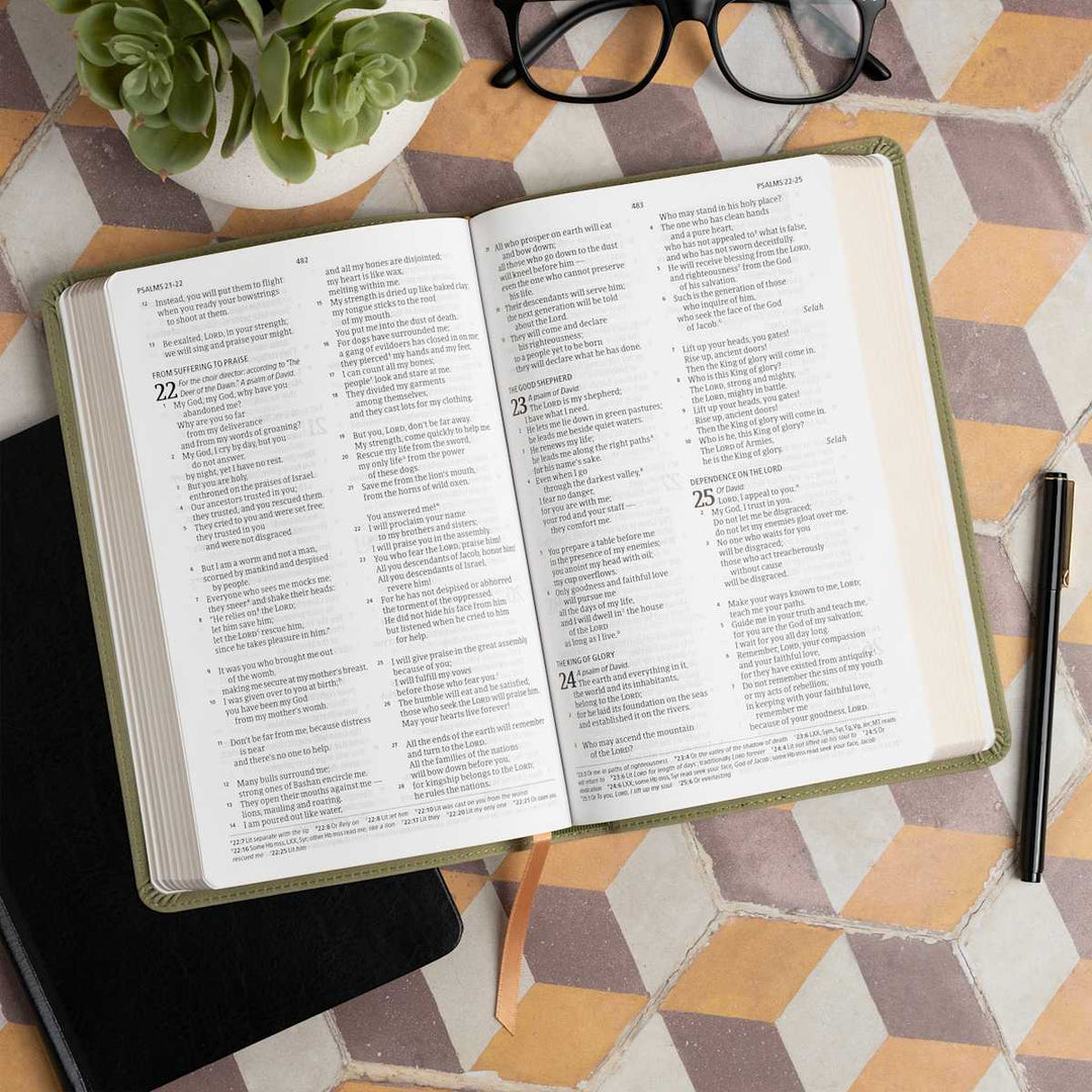 Lifeway - CSB Thinline Digital Study Bible, Sage SuedeSoft