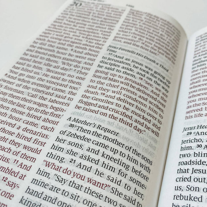 ESV Large Print Bible - The Holy Bible