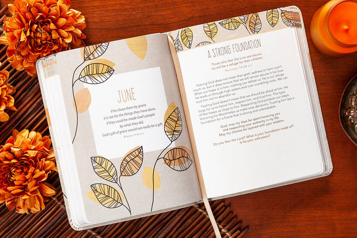 For I Know the Plans (Daily Devotional)