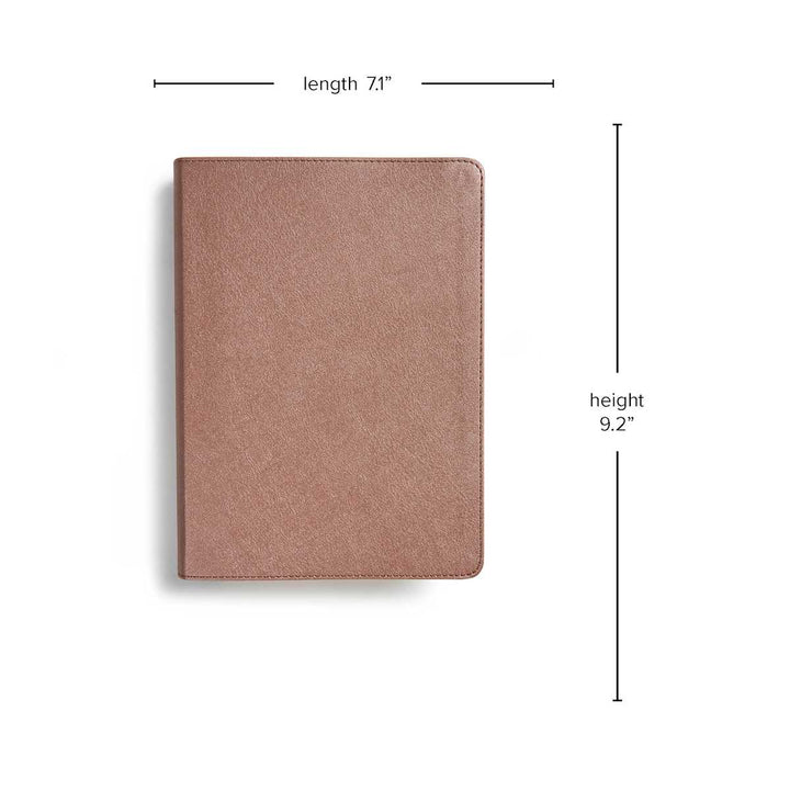 Lifeway - CSB She Reads Truth Bible, Rose Gold LeatherTouch