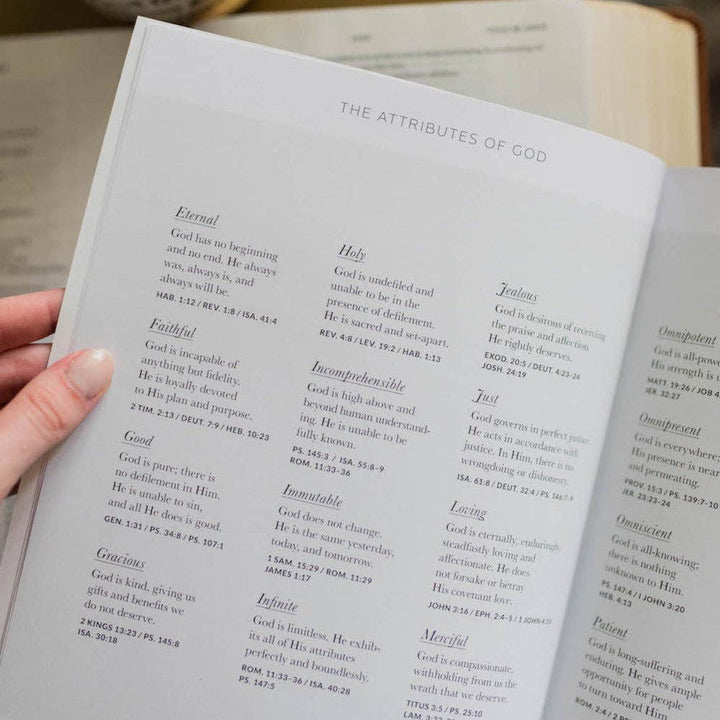 The Daily Grace Co - Peace for the Anxious Heart Bible Study