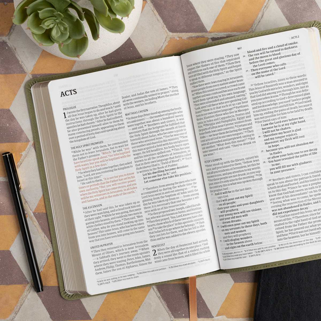 Lifeway - CSB Thinline Digital Study Bible, Sage SuedeSoft