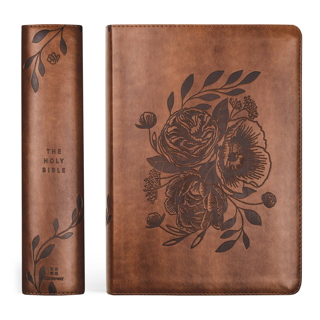 ESV Study Bible: Aurora Theme