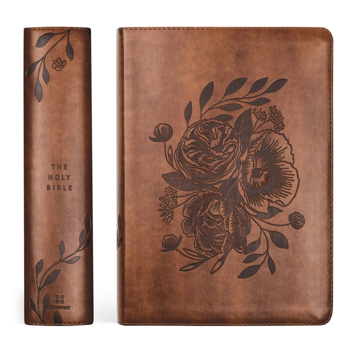 ESV Study Bible: Aurora Theme