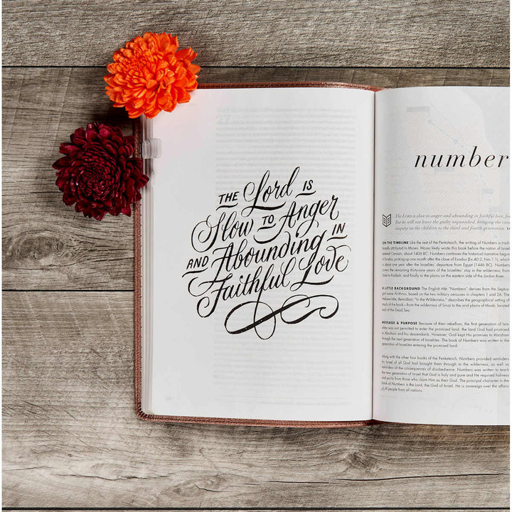 Lifeway - CSB She Reads Truth Bible, Rose Gold LeatherTouch, Indexed
