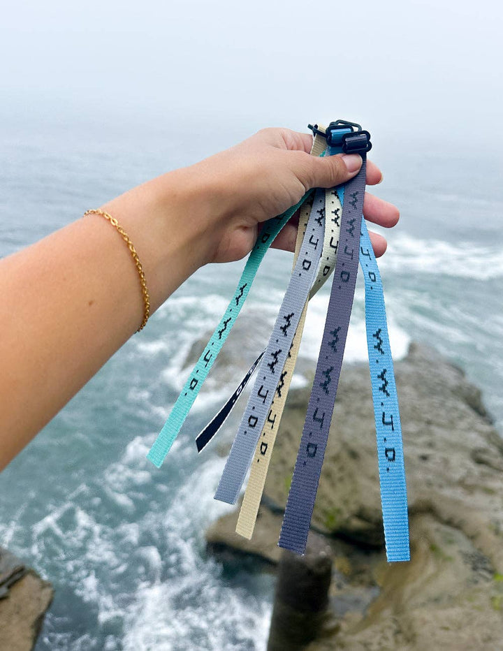 WWJD Surf Bracelet Pack