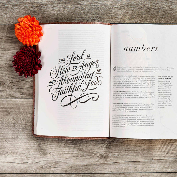 Lifeway - CSB She Reads Truth Bible, Rose Gold LeatherTouch