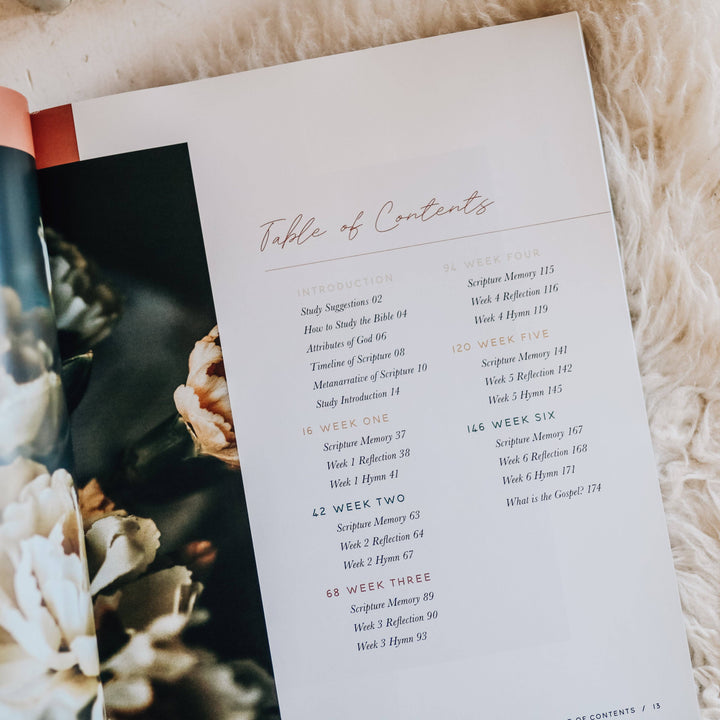 The Daily Grace Co - Praise Bible Study | Psalms 91-120