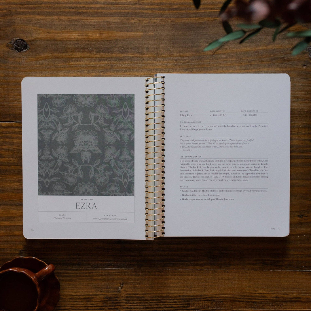 A Year in the Bible | Volume 2 Bible Study