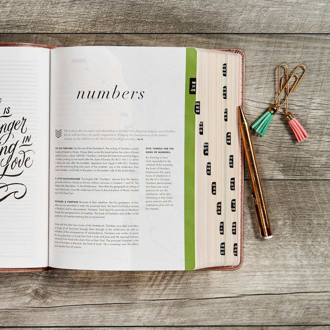 Lifeway - CSB She Reads Truth Bible, Rose Gold LeatherTouch, Indexed