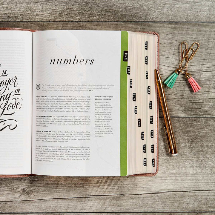 Lifeway - CSB She Reads Truth Bible, Rose Gold LeatherTouch, Indexed