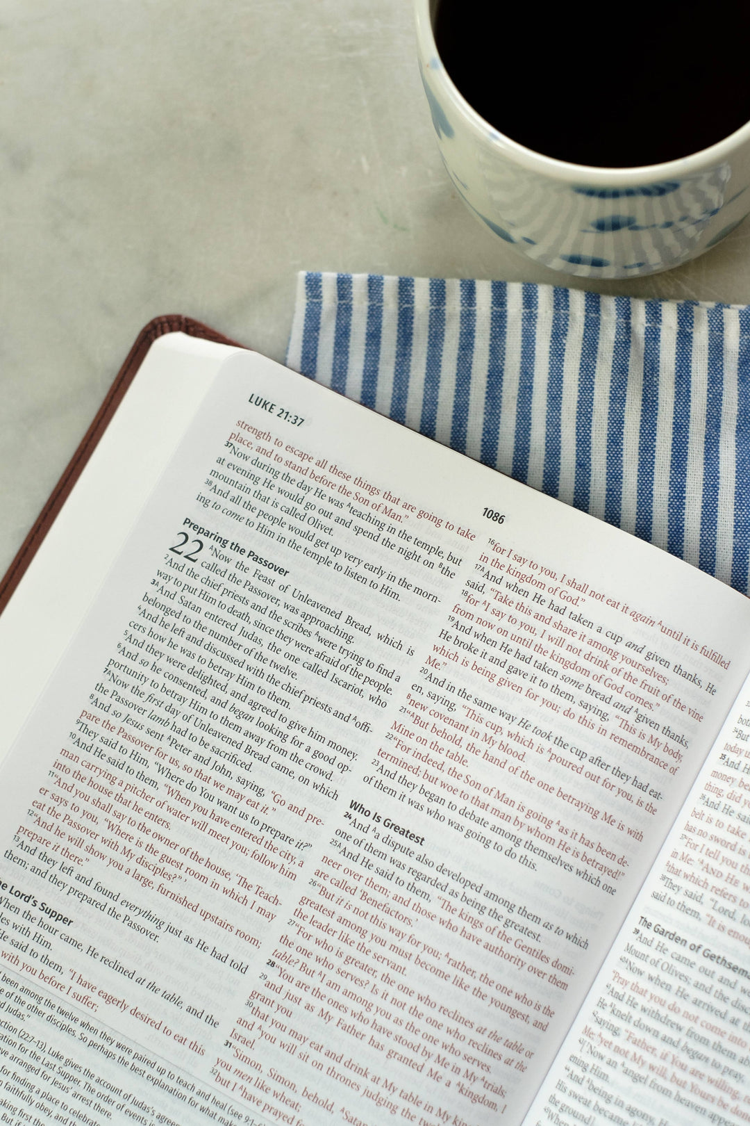 Barbour Publishing, Inc. - Light for Life NASB Study Bible (Mahogany Lighthouse)