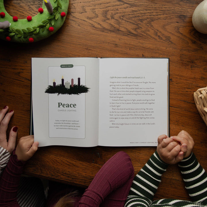 The Daily Grace Co - The Advent Storybook Family Devotional
