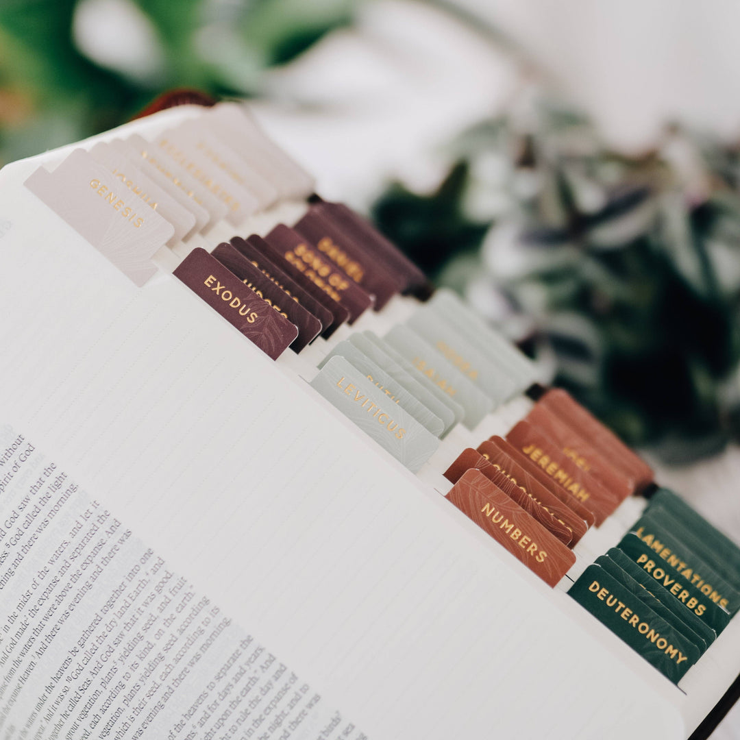 The Daily Grace Co - Jewel Tone Bible Tabs