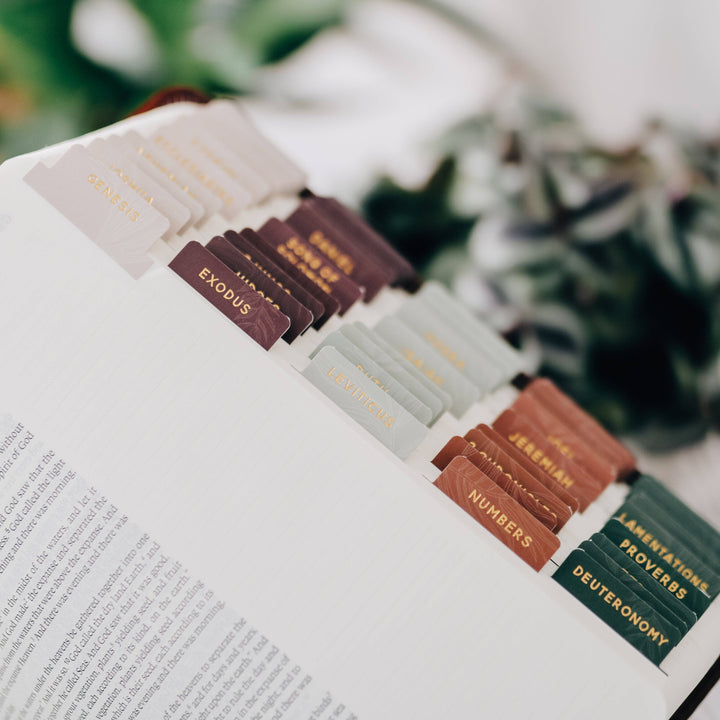 The Daily Grace Co - Jewel Tone Bible Tabs