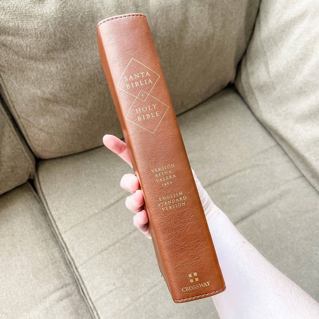 Joy Creative Bibles - ESV/RVR Bilingual Bible - La Santa Biblia