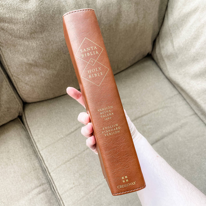 Joy Creative Bibles - ESV/RVR Bilingual Bible - La Santa Biblia