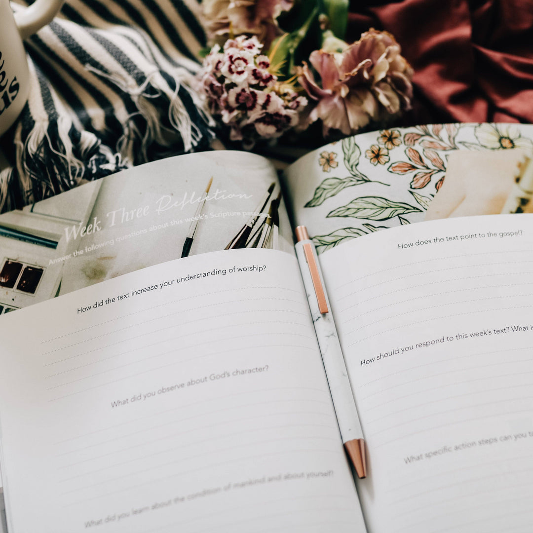 The Daily Grace Co - Worship Bible Study