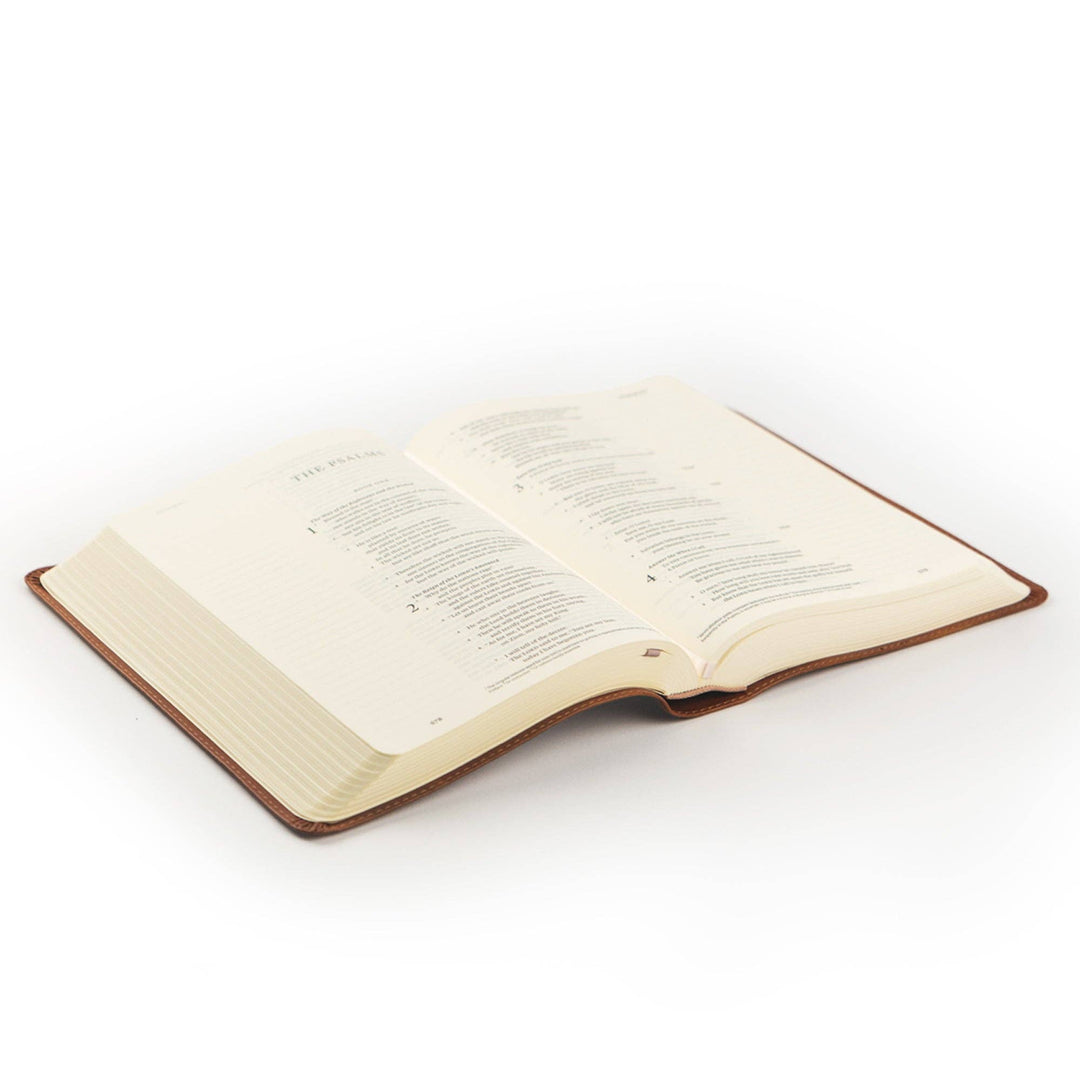 Hosanna Revival - ESV Single Column Journaling Bible: Sierra Theme