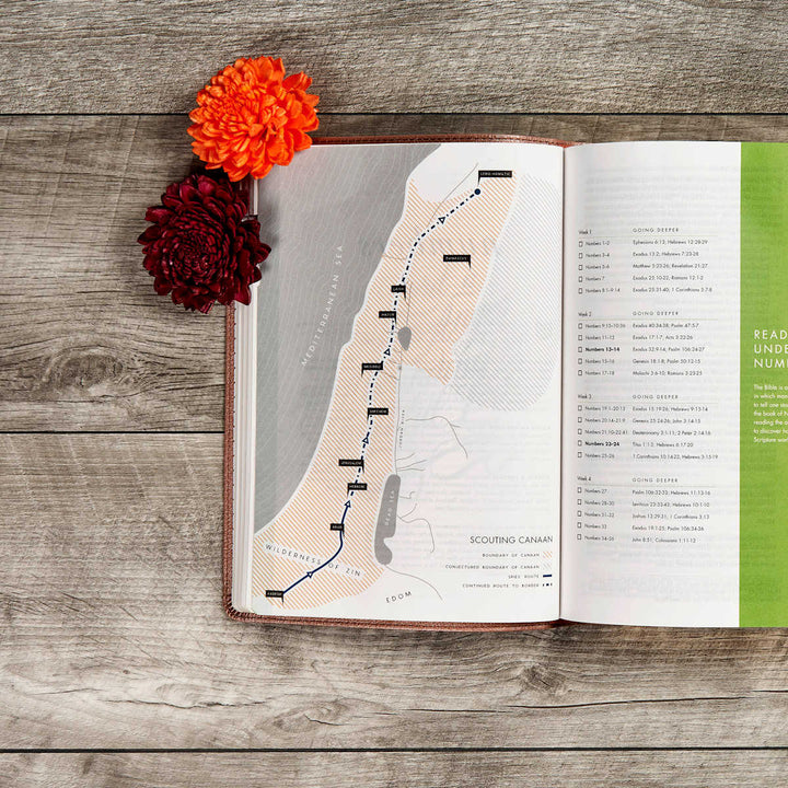 Lifeway - CSB She Reads Truth Bible, Rose Gold LeatherTouch, Indexed