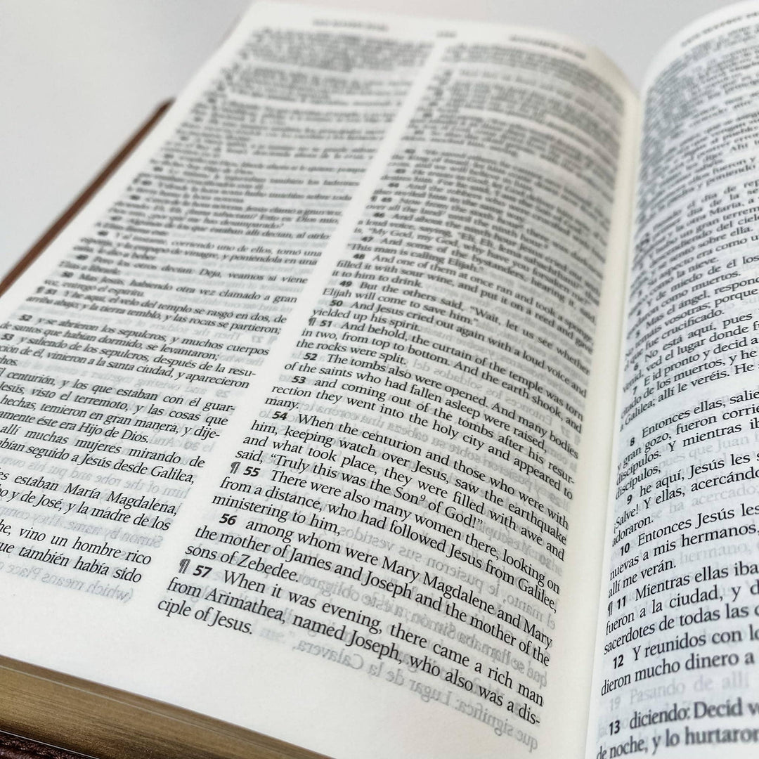 Joy Creative Bibles - ESV/RVR Biblia Bilingüe Personalizada con León