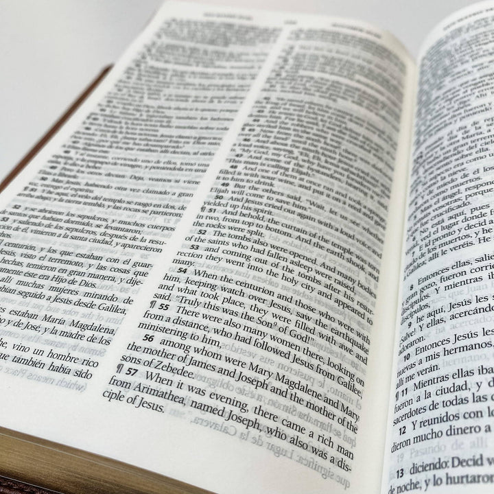Joy Creative Bibles - ESV/RVR Biblia Bilingüe Personalizada con León