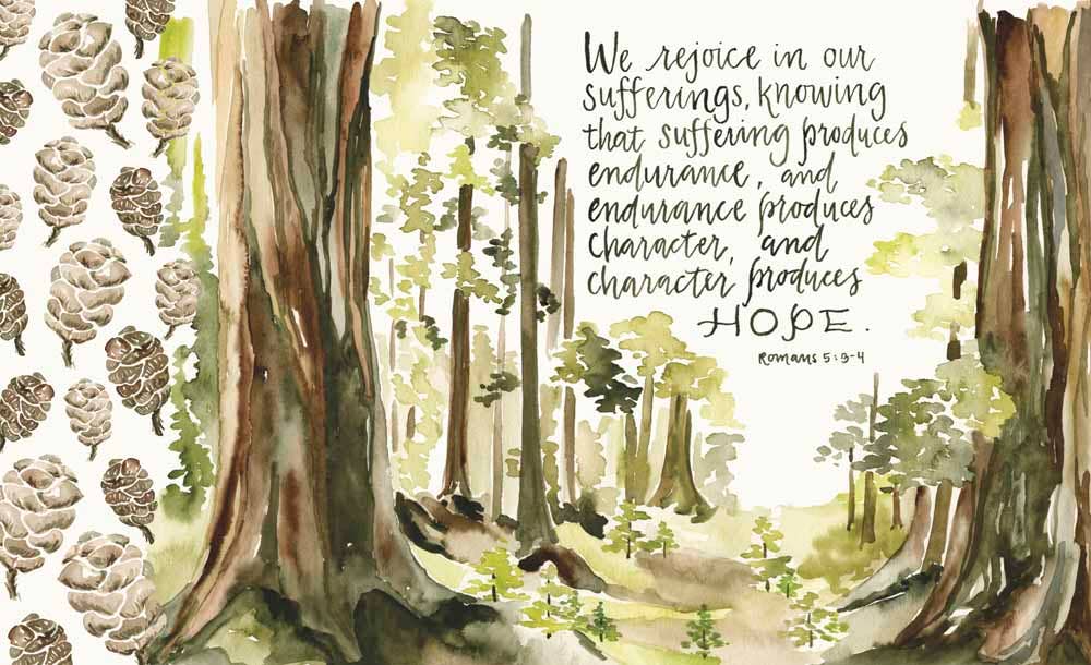 Harvest House Publishers Gift &amp; Specialty Books - GraceLaced