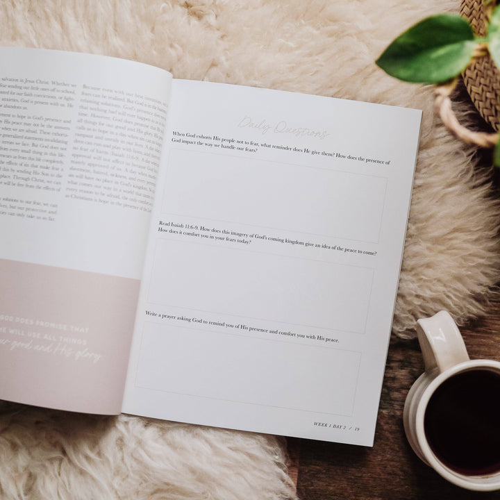 The Daily Grace Co - When Fear Meets Faith Bible Study