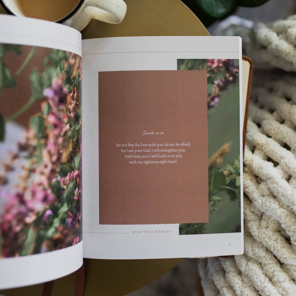 The Daily Grace Co - Peace for the Anxious Heart Bible Study