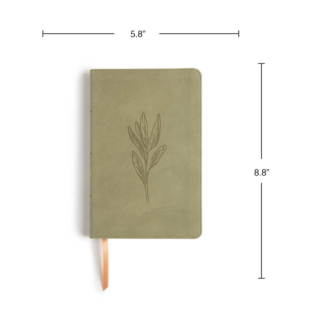 Lifeway - CSB Thinline Digital Study Bible, Sage SuedeSoft