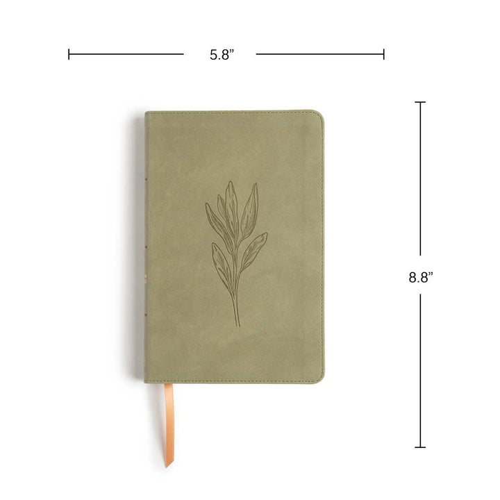 Lifeway - CSB Thinline Digital Study Bible, Sage SuedeSoft