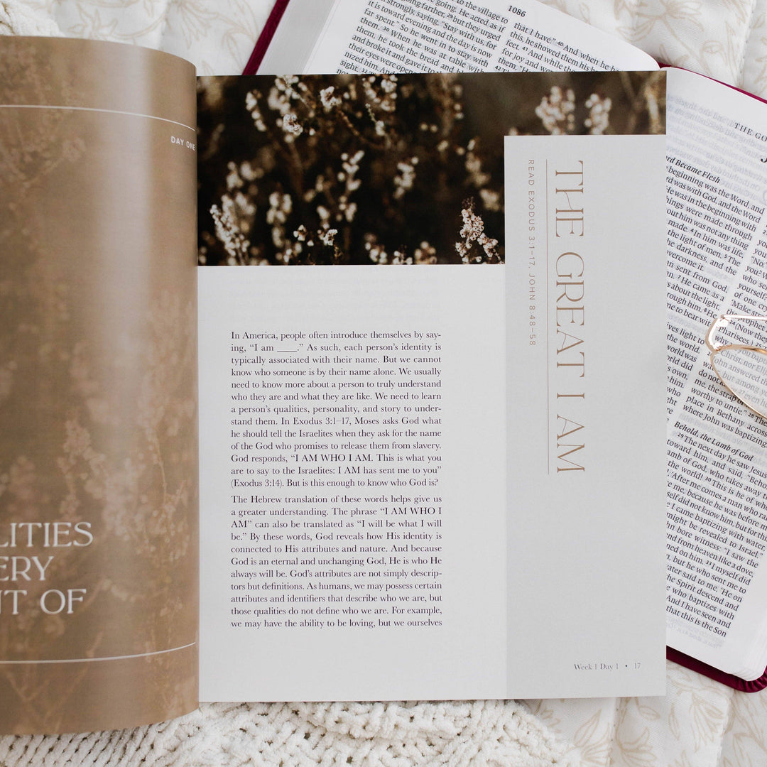The Daily Grace Co - I Am Bible Study