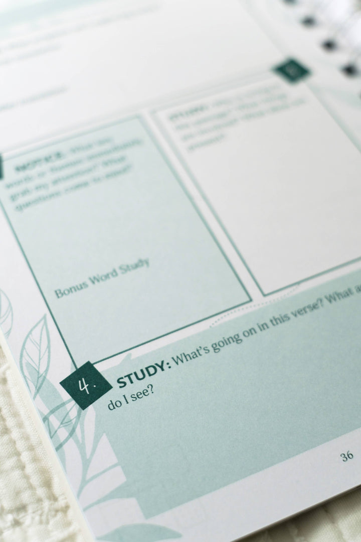 Barbour Publishing, Inc. - Bible Study Collective: Verse Mapping Journal