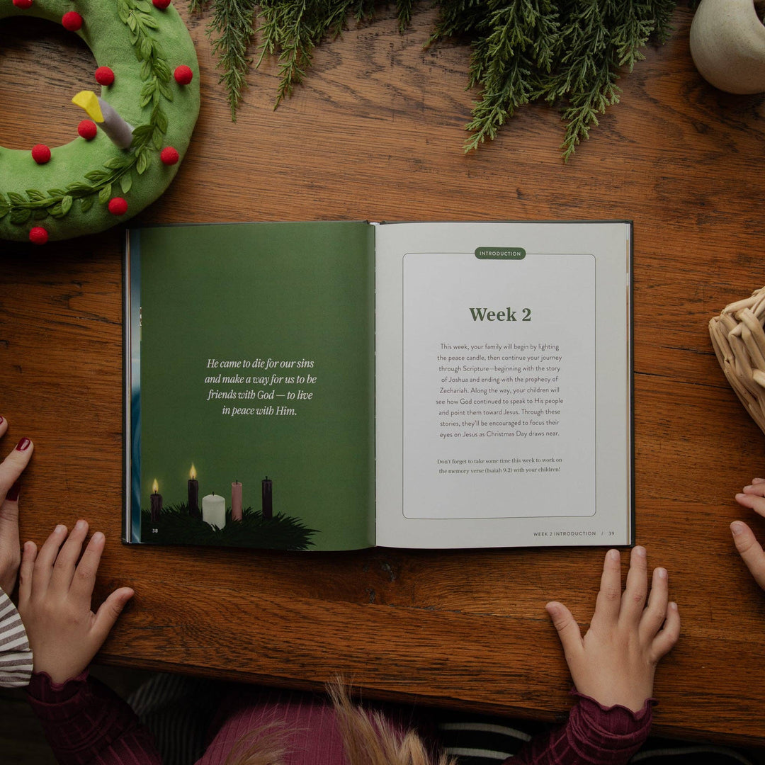 The Daily Grace Co - The Advent Storybook Family Devotional