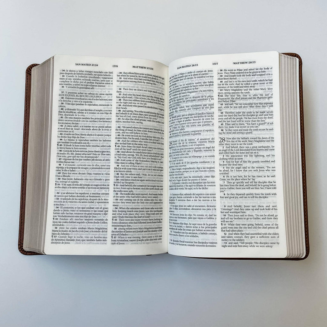 Joy Creative Bibles - ESV/RVR Biblia Bilingüe Personalizada con León