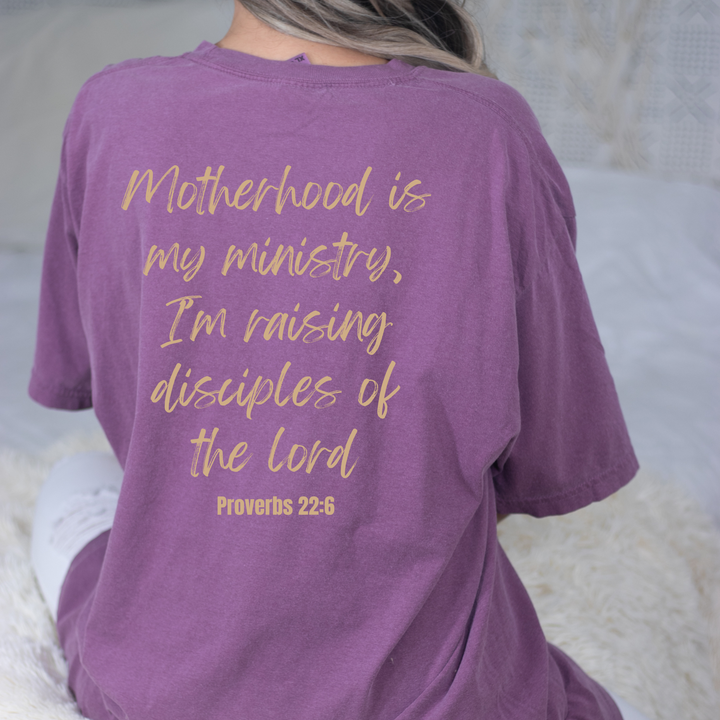 Proverbs 22:6 Graphic Tee - Christian Faith Tee - Summer Tee: Berry / Large