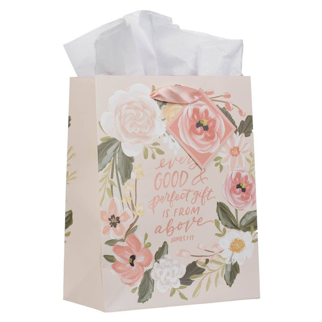 Christian Art Gifts - Gift Bag MD Every Good &amp; Perfect Gift James 1:17