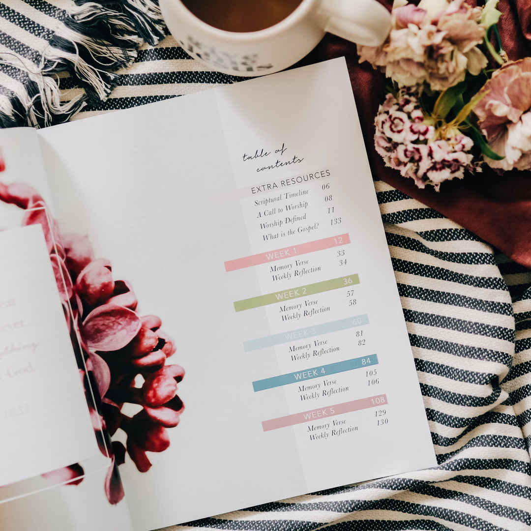 The Daily Grace Co - Worship Bible Study
