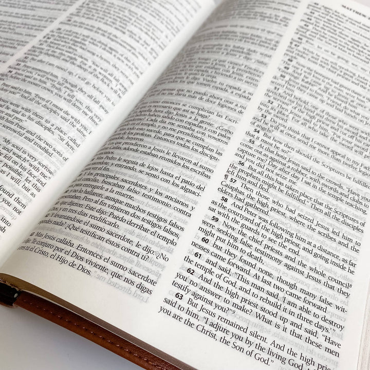 Joy Creative Bibles - ESV/RVR Bilingual Bible - La Santa Biblia
