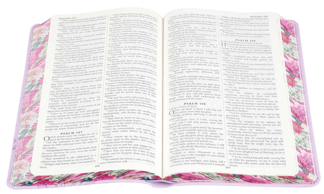 Holy Bible (with Tabs) by