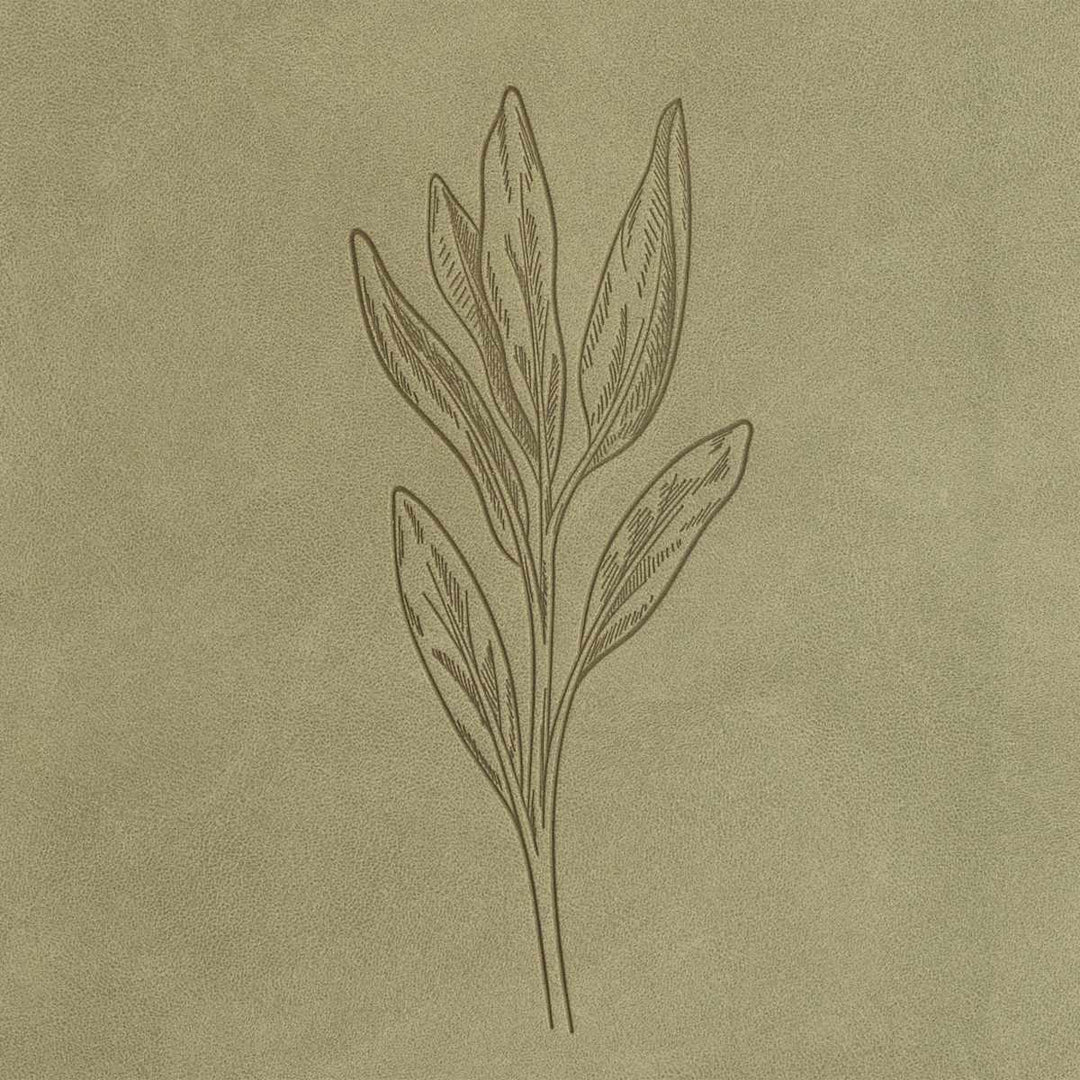 Lifeway - CSB Thinline Digital Study Bible, Sage SuedeSoft