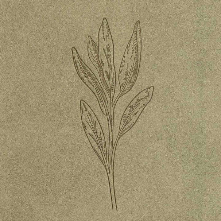 Lifeway - CSB Thinline Digital Study Bible, Sage SuedeSoft