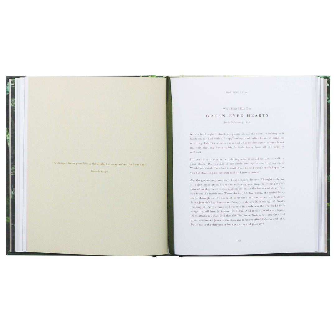 Bible Study: Unfold by Liesl Lamprecht
