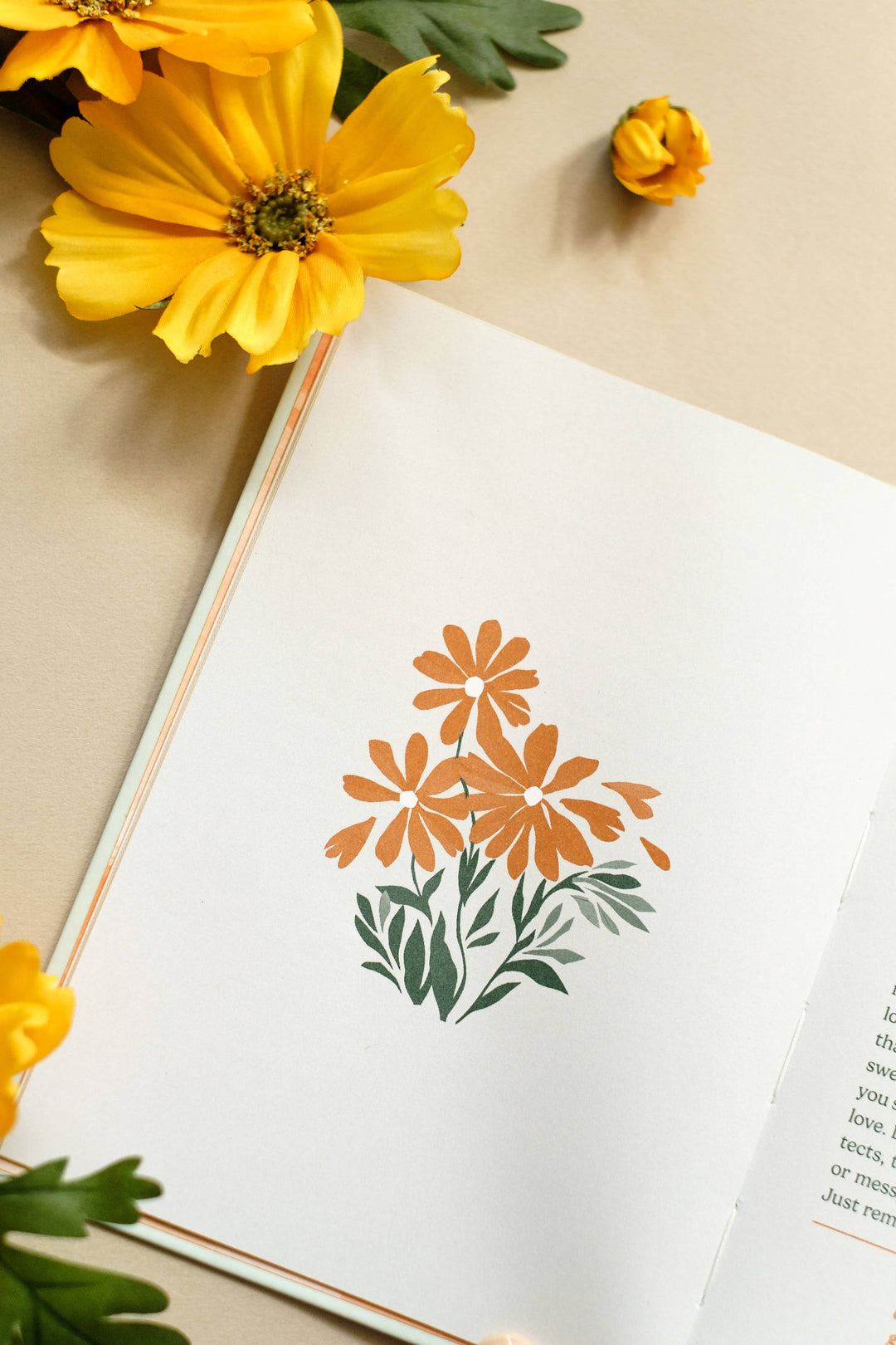 Barbour Publishing, Inc. - Unfiltered Devotions for Women