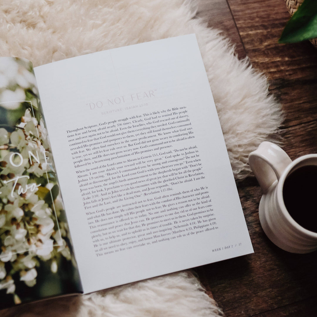 The Daily Grace Co - When Fear Meets Faith Bible Study